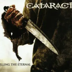 Killing the Eternal