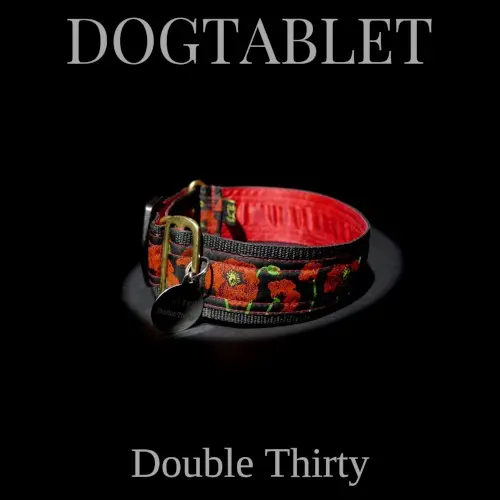 Double Thirty