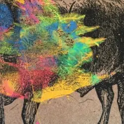 The Ox of Oh The Ox of Oh