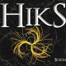 Boson