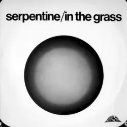 In the Grass