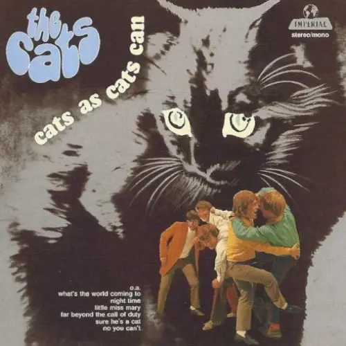 Cats as Cats Can
