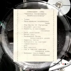 Хроника пикирующего бомбардировщика
