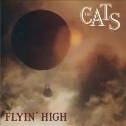 Flyin' High