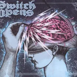 Switch Opens