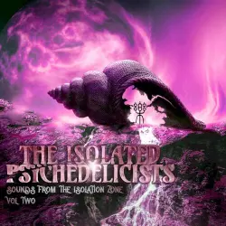 Sounds From the Isolation Zone Vol.2