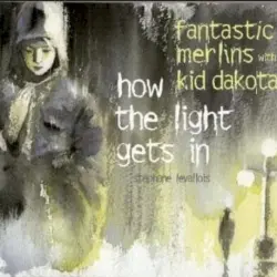 How the Light Gets In