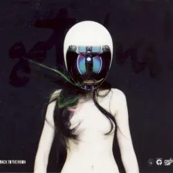 Back to the Moon