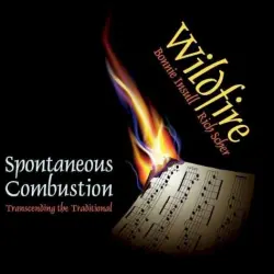 Spontaneous Combustion