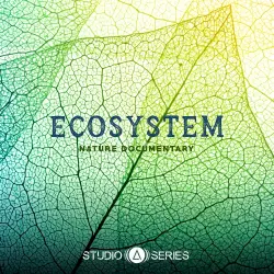 Ecosystem