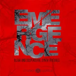 Emergence