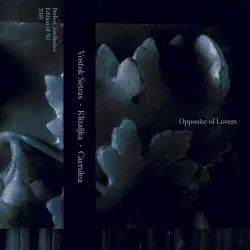 Opposite of Lovers