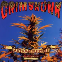 Autumn Flowers - Rerolled