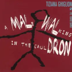 A Male Walking in the Cauldron