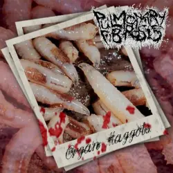 Organ Maggots