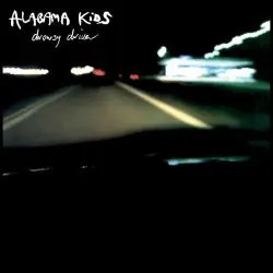 Drowsy Driver