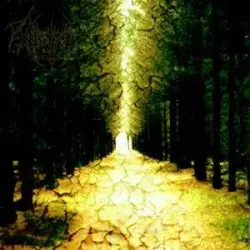 Enter the Kingdom of Night