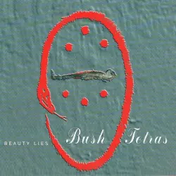Beauty Lies