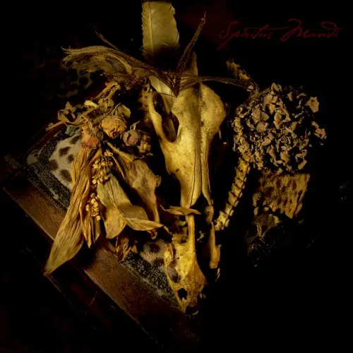 Spiritus Mundi