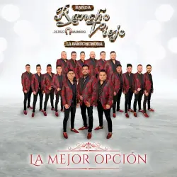 La mejor opción La mejor opción