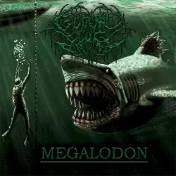 Megalodon