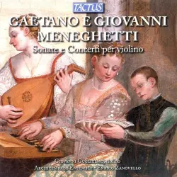 Sonate e Concerti per violino