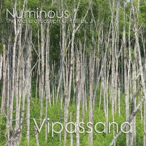 Vipassana