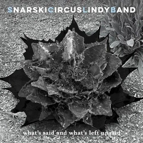 What’s Said and What’s Left Unsaid