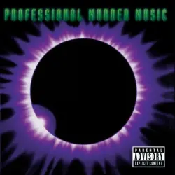 Professional Murder Music
