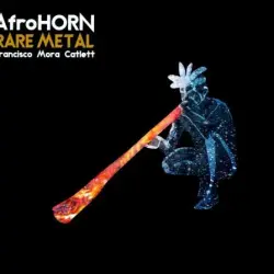 Rare Metal
