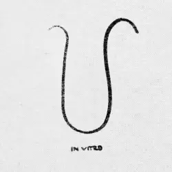 In Vitro In Vitro