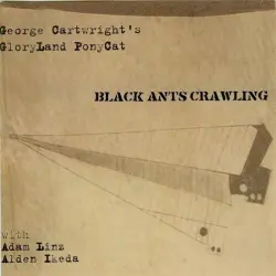 Black Ants Crawling