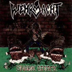 Shark Attack Shark Attack