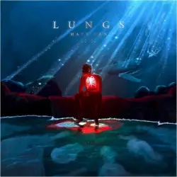 Lungs