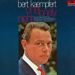 One Lonely Night