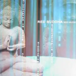Siddhartha in Space