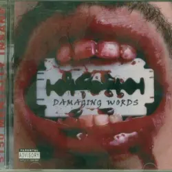 Damaging Words