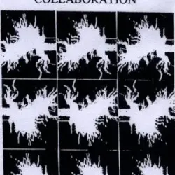 Collaboration
