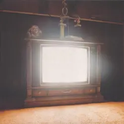 The Absence of a Canary