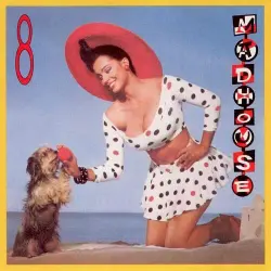 8 8
