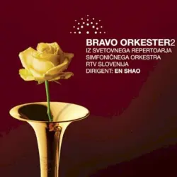 Bravo Orkester 2
