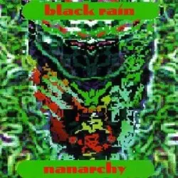 Nanarchy