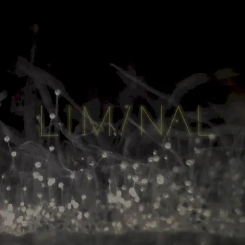 Liminal 2