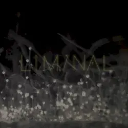 Liminal 2