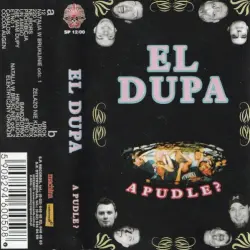 A Pudle?