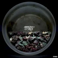 Cold World / Hummingbird of Death
