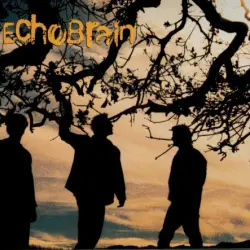 Echobrain
