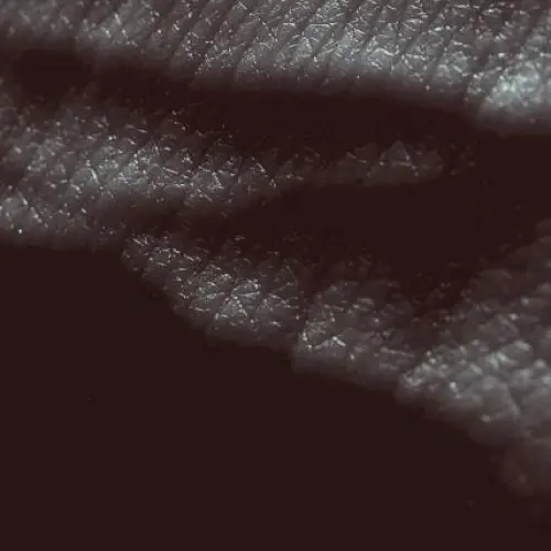 Posthuman