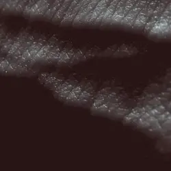Posthuman