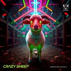Crazy Sheep Crazy Sheep